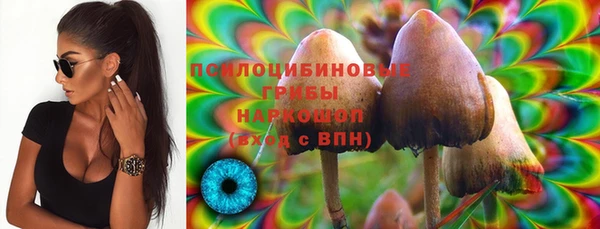 трава Аркадак