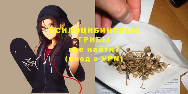 не бодяженный Арсеньев