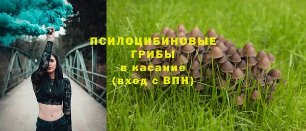 не бодяженный Арсеньев