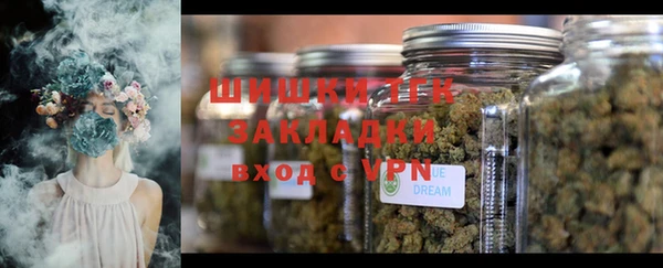 трава Аркадак
