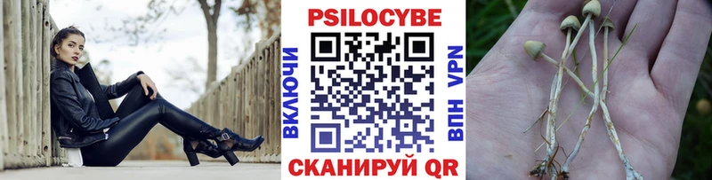 закладки  Хотьково  Псилоцибиновые грибы мицелий 
